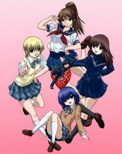  OVA / Ichigo 100% Original DVD Animation