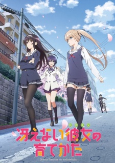 Saenai Heroine no Sodatekata /      