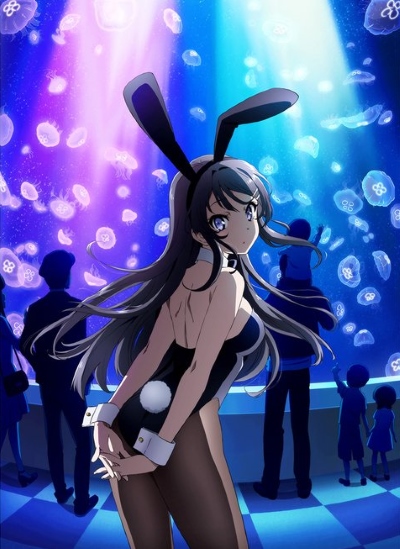       - / Seishun Buta Yarou wa Bunny Girl Senpai no Yume wo Minai