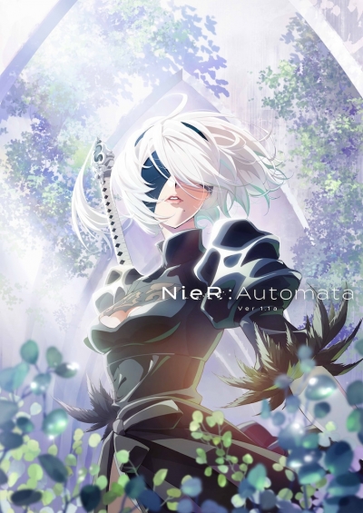 :    1.1 / NieR: Automata Ver 1.1a