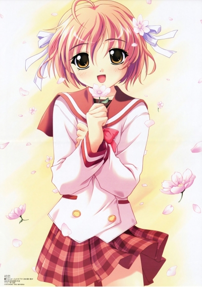   / Hatsukoi